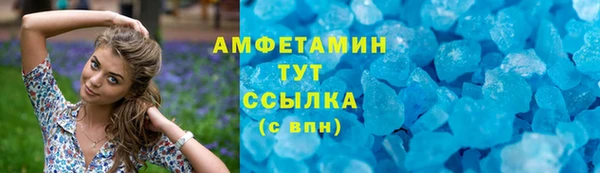 шишки Алзамай