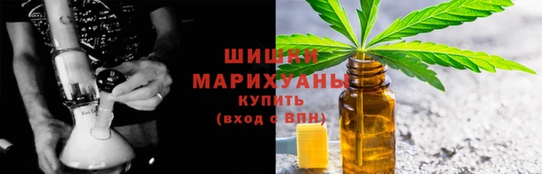 шишки Алзамай