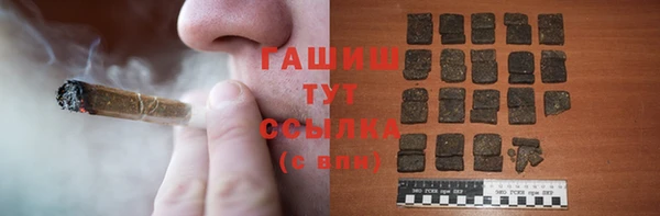 шишки Алзамай