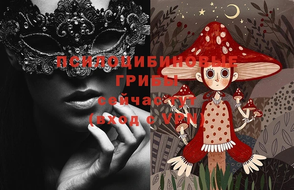 шишки Алзамай