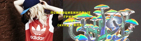 МДПВ Алексеевка