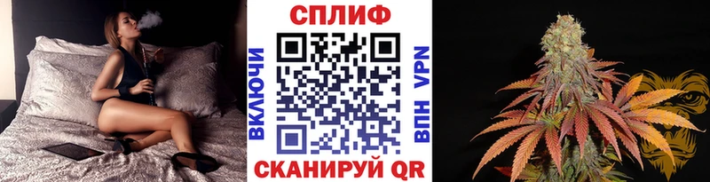 Конопля VHQ  Санкт-Петербург 